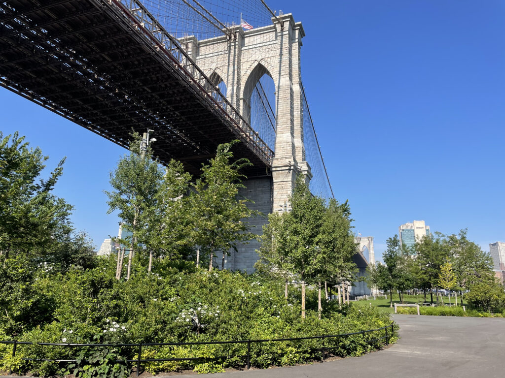 NYC Brooklyn DUMBO Improvement District - Small Business & Community - Community - DUMBO Brooklyn Bridge