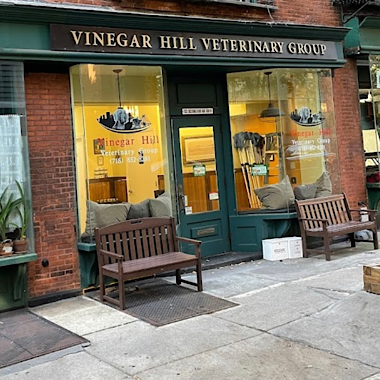 NYC DUMBO Small Business - Vinegar Hill Vet
