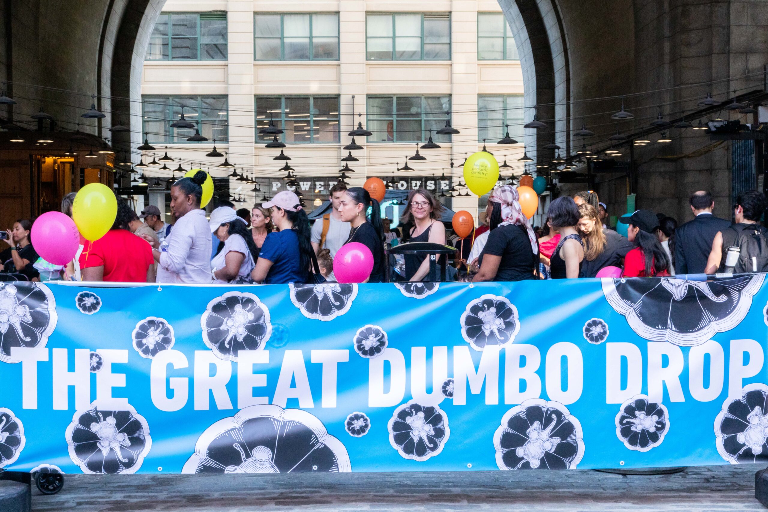 #NYC #Brooklyn #DUMBO #Dumbo #BrooklynBridge #Bridge #Washington #Balloons #Elephants #DUMBODROP #2023