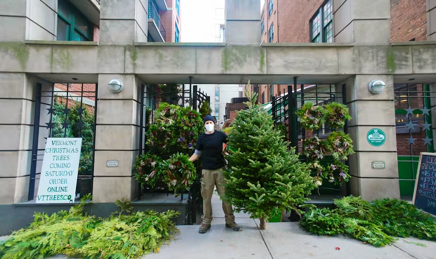 NYC DUMBO Improvement District - Holiday in DUMBO - Christmas Trees Cole Westville