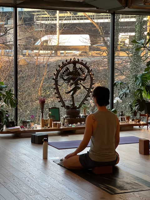 Finding Home through Meditation and Asana