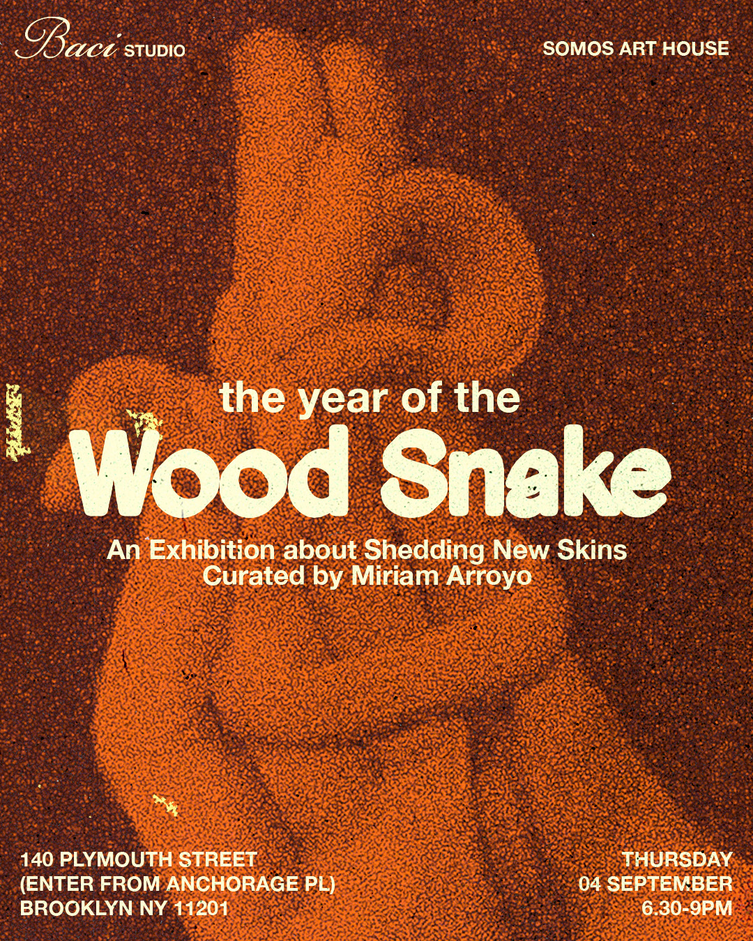 WOOD SNAKE_POST 01